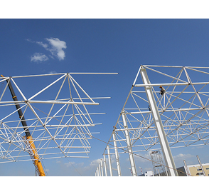 ��������԰�ִ�������